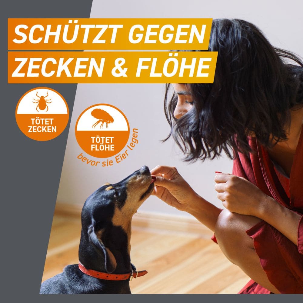 FRONTPRO Kautabletten für Hunde (>25-50kg) 3 St Kautabletten