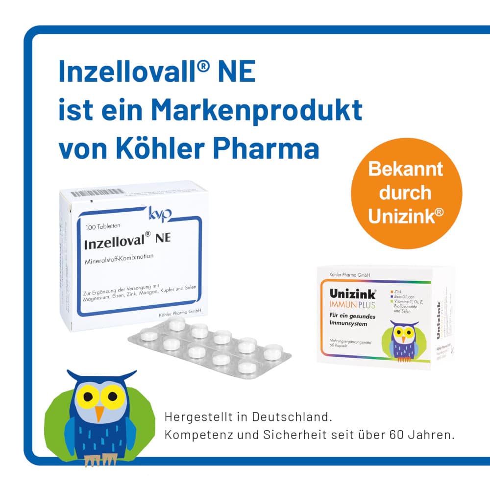 Inzelloval NE  100 St Filmtabletten