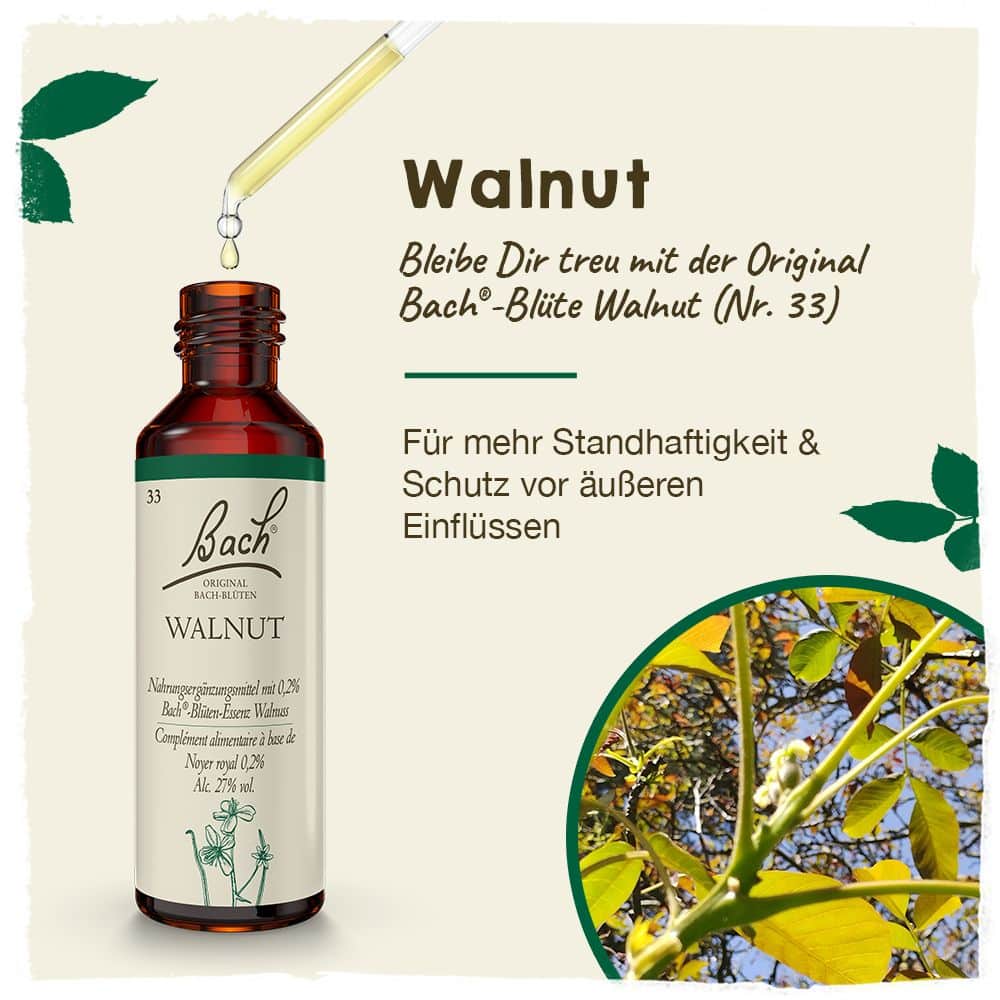 BACHBLÜTEN Original  Walnut Nr. 33 20 ml Tropfen