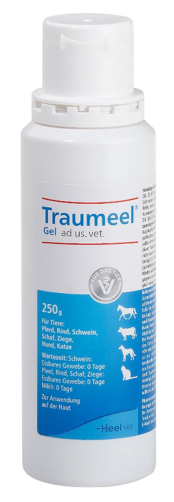 Traumeel Gel ad us. vet. 1X250 g Gel