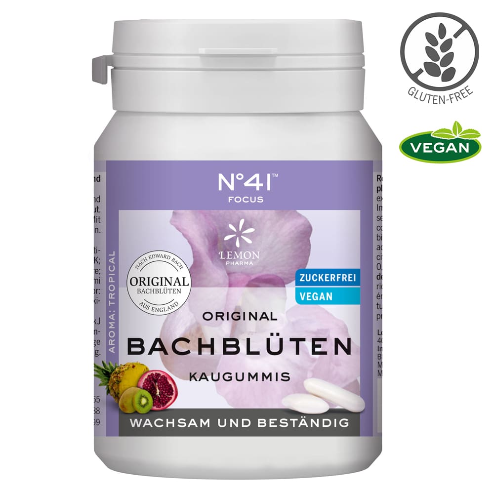 ORIGINAL BACHBLÜTEN KAUGUMMI No 41 FOCUS 40 St Kaugummi