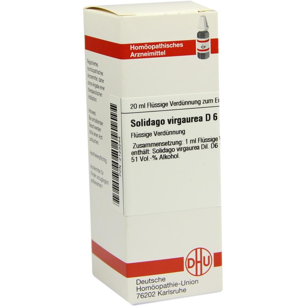 SOLIDAGO VIRGAUREA D 6 Dilution 20 ml Dilution