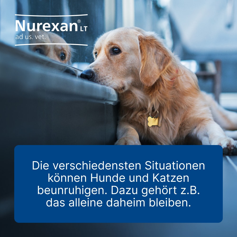 Nurexan LT ad us. vet. 500 St Tabletten