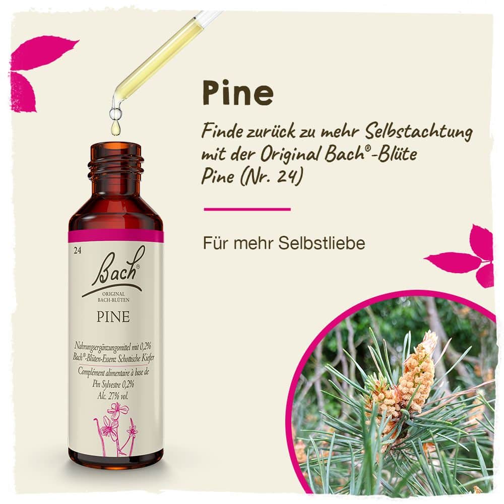 BACHBLÜTEN Original Pine Nr. 24 20 ml Tropfen