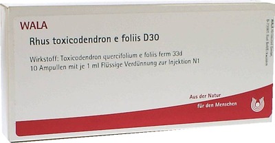 Rhus toxicodendron e foliis D30 Ampullen 10X1 ml Ampullen
