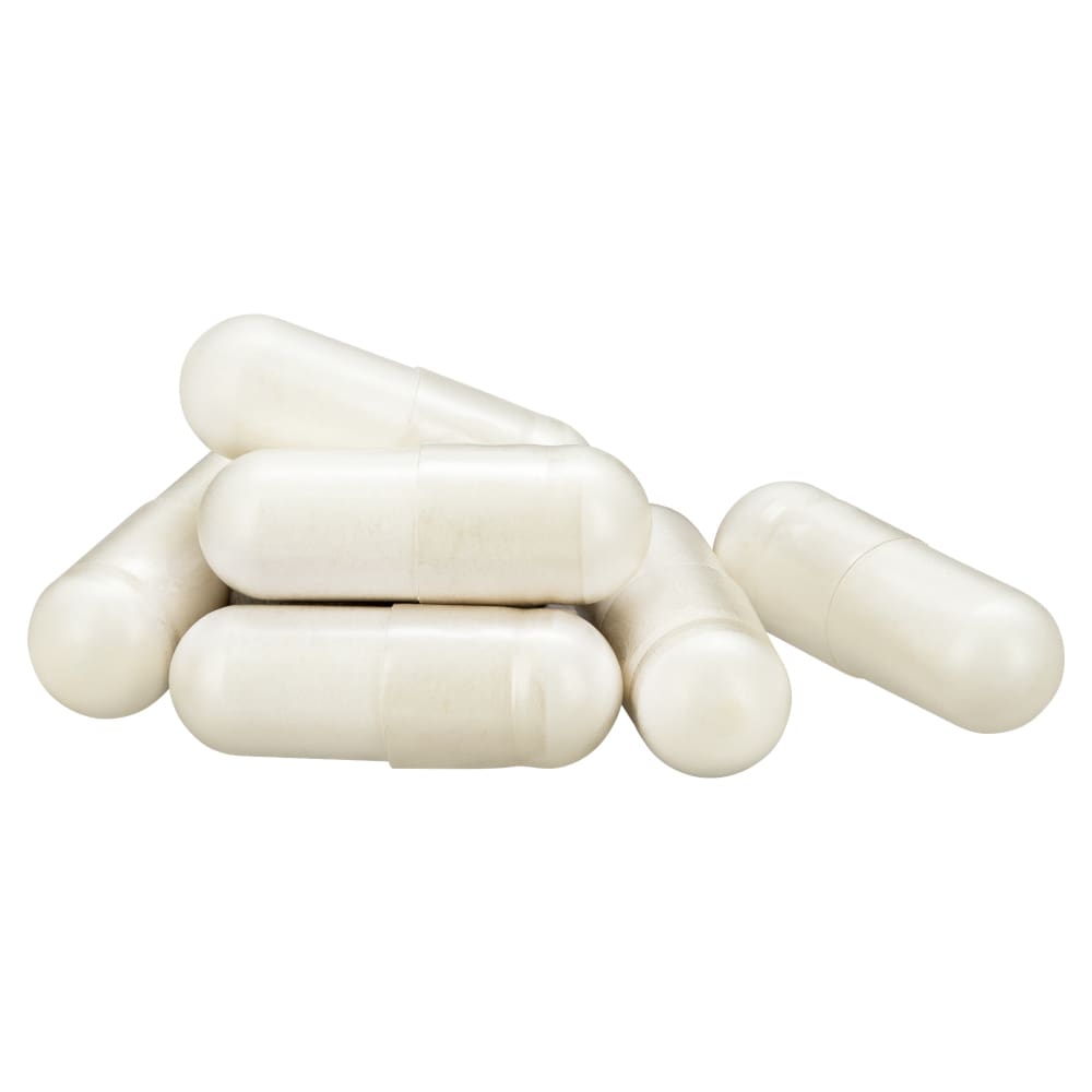 DARMSYNBIOTIKUM MULTILAC  10 St Kapseln magensaftresistent