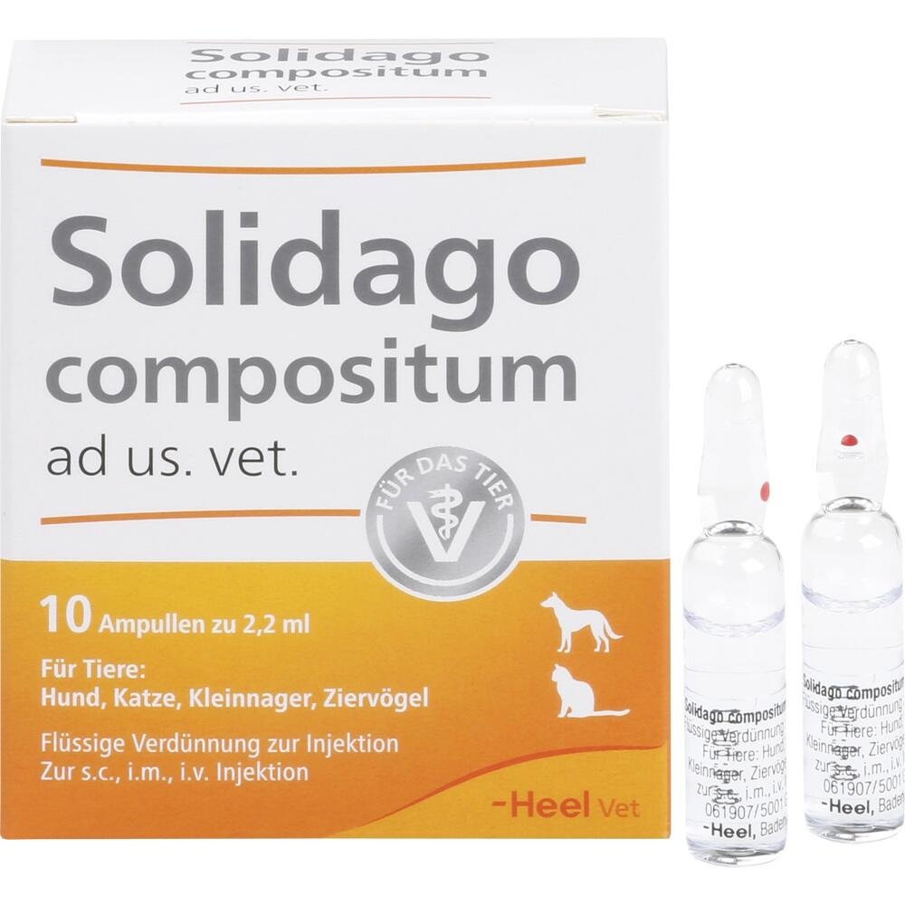 Solidago compositum ad us. vet.  10 St Ampullen