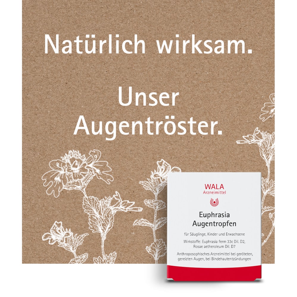 WALA Euphrasia Augentropfen 10X0.5 ml Augentropfen