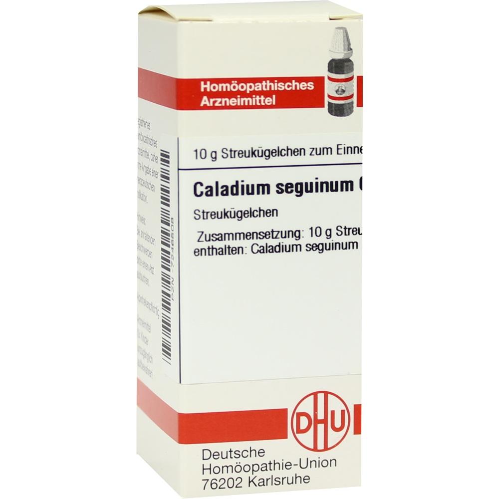 CALADIUM seguinum C 6 Globuli 10 g Globuli